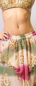 Bellydance Harem Pants