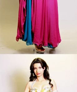 Bellydance Reversible Skirt All Skirts