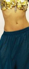 Bellydance Skirt Harem Pants