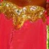 Bellydance Sequin Skirt
