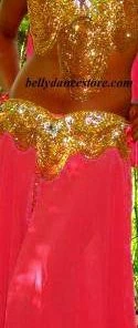 Bellydance Sequin Skirt