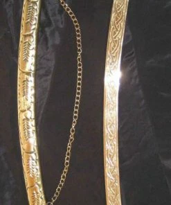 Bellydance Sword With Case