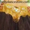 Bellydance Skirt All Skirts