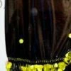 Bellydance Malaya Veil Veils