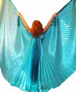 Bellydance Metallic Wings