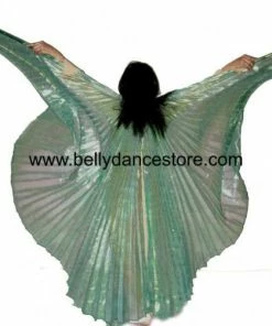 Bellydance Sheer Wings~