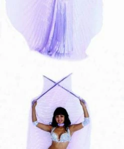 Bellydance Wings