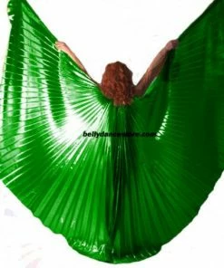 Bellydance Wings~