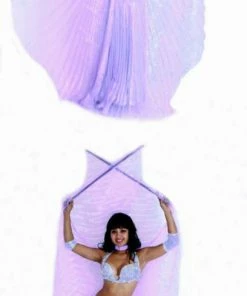Bellydance Iridescent Wings