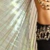 Bellydance Iridescent Wings 2 Bellydance Iridescent Wings