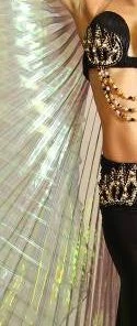Bellydance Iridescent Wings