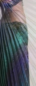 Bellydance Wings