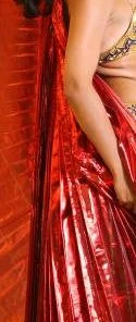 Bellydance Wings
