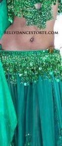 Bellydance Confetti Bra&Belts