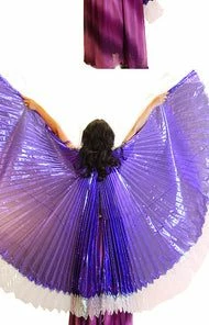 Bellydance Wings~