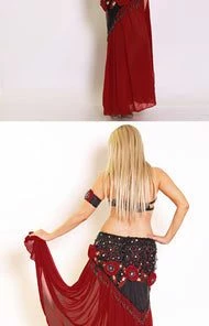 Bellydance Nabila Costume 22707
