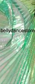 Bellydance Sheer Wings~