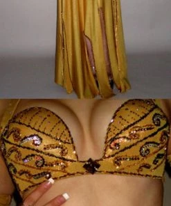 Raqia Hassan Costume Costumes