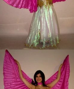 Bellydance Mini Wings
