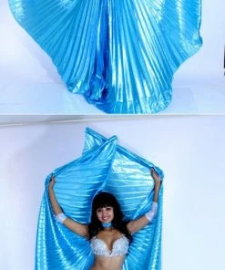 Bellydance Metallic Wings