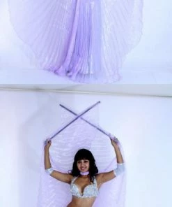 Bellydance Sheer Wings~