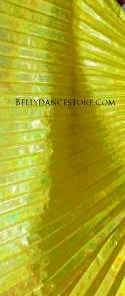 Bellydance Metallic Wings