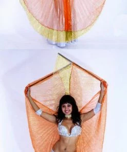 Bellydance Glitter Wings