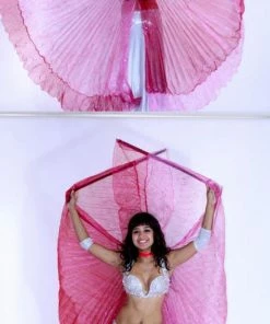 Bellydance Glitter Wings