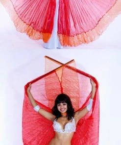 Bellydance Glitter Wings