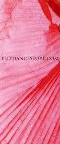Bellydance Glitter Wings