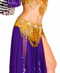 Bellydance Liquid Gold (DD) Bra&Belts