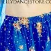 Bellydance Bollywood Skirt/Veil Set