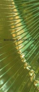 Bellydance Metallic Wings~
