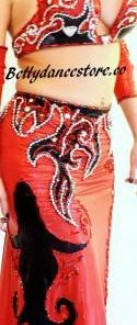 Bellydance Diamond Costume Clearance