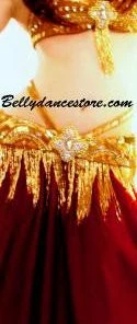 Bellydance Burgundy Skirt All Skirts