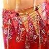 Bellydance Diamond Costume Costumes