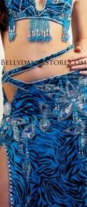 Bellydance Costumes Diamond Costume
