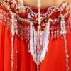 Bellydance Taj Mahal Bra&Belts