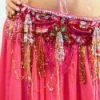 Bellydance Bra&Belts Lili Bra And Belt Set (B)