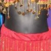 Bellydance Kids Costume
