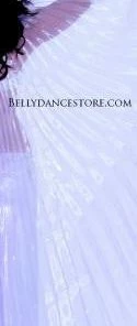 Bellydance Sheer Wings~