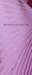 Bellydance Sheer Wings~