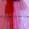 Bellydance Glitter Wings